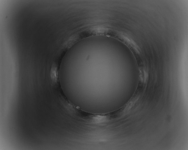 X0000100760718200806261605