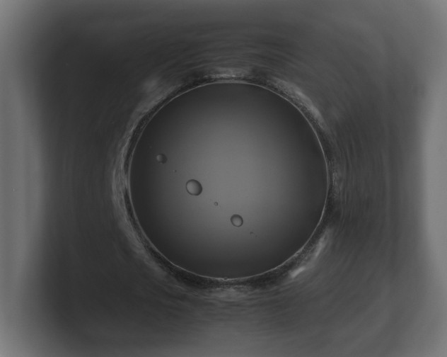 X0000100760721200806261604