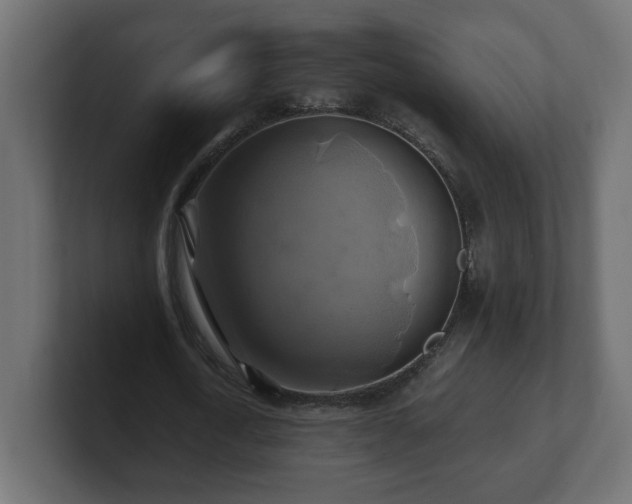 X0000100760722200806261604