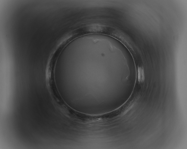 X0000100760723200806261604