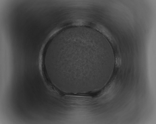 X0000100760724200806261604