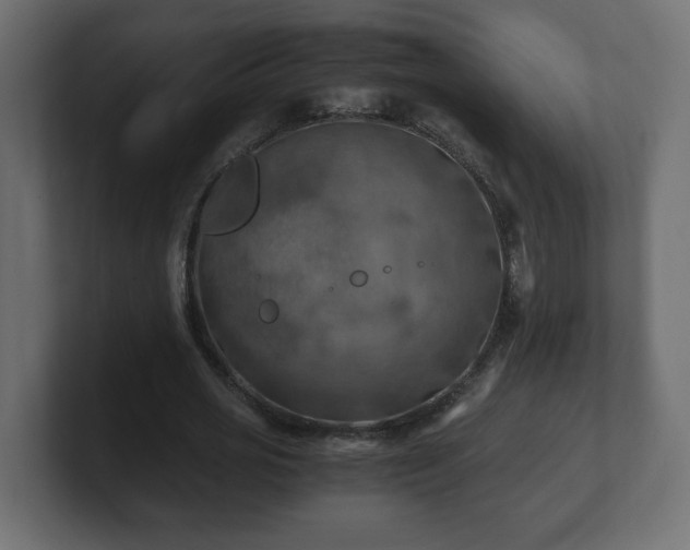 X0000100760725200806261604