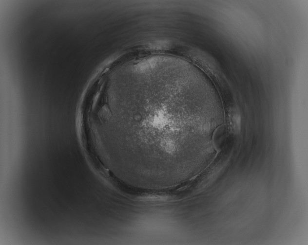 X0000100760726200806261604