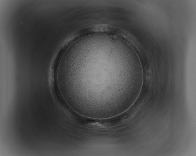 X0000100760727200806261604