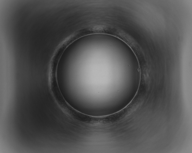 X0000100760728200806261604