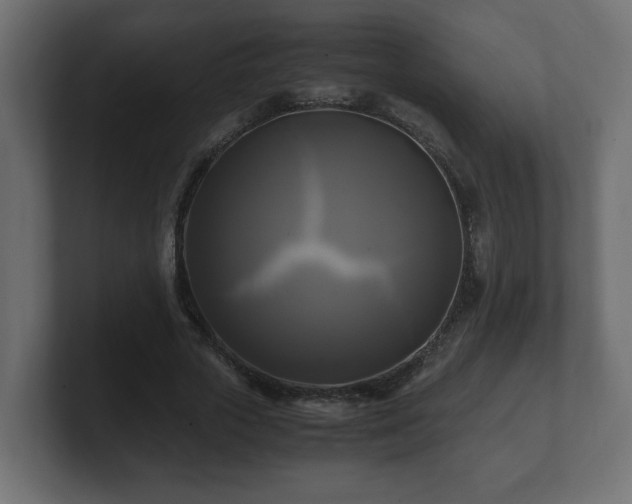 X0000100760729200806261604