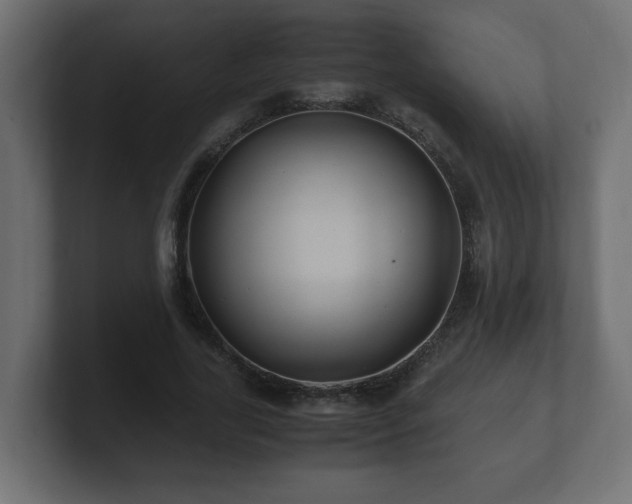 X0000100760731200806261604