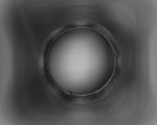 X0000100760732200806261604