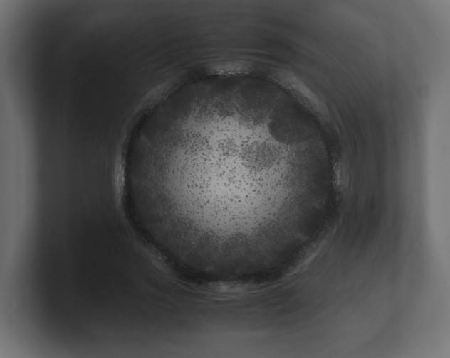 X0000100760733200806261604