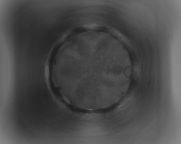 X0000100760734200806261604