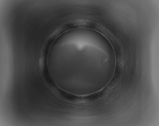 X0000100760735200806261604