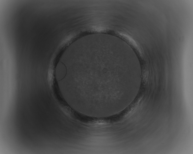 X0000100760736200806261604