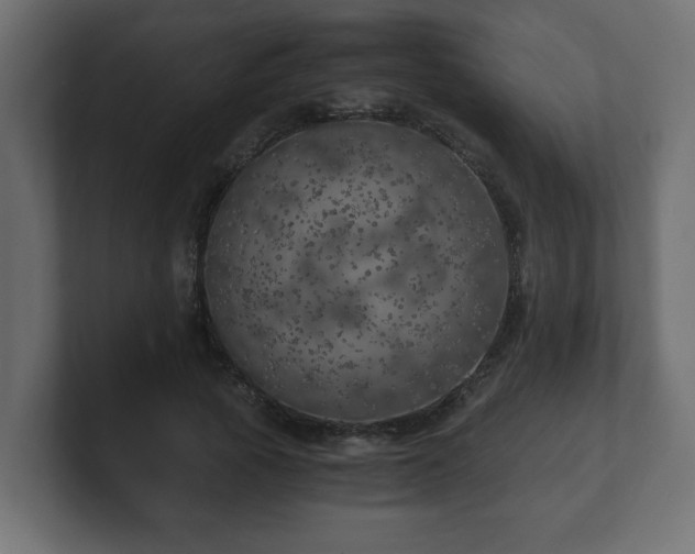 X0000100760737200806261604