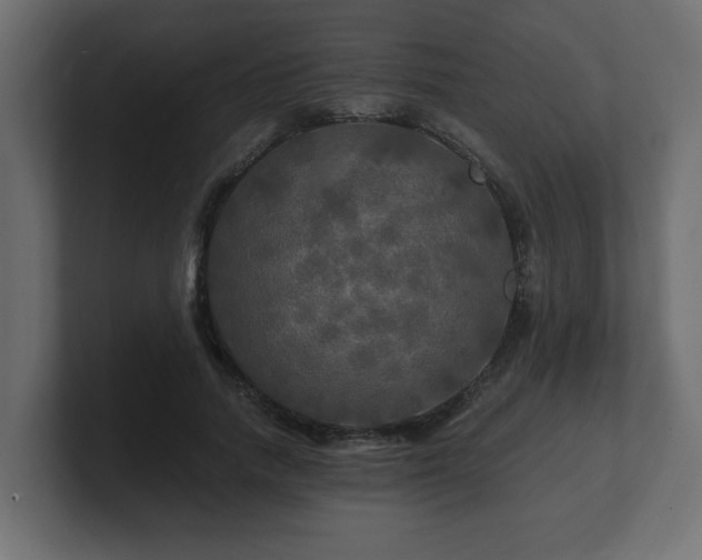 X0000100760738200806261604