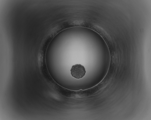 X0000100760739200806261604