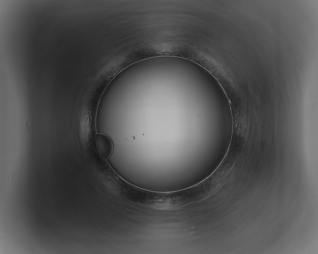 X0000100760740200806261604