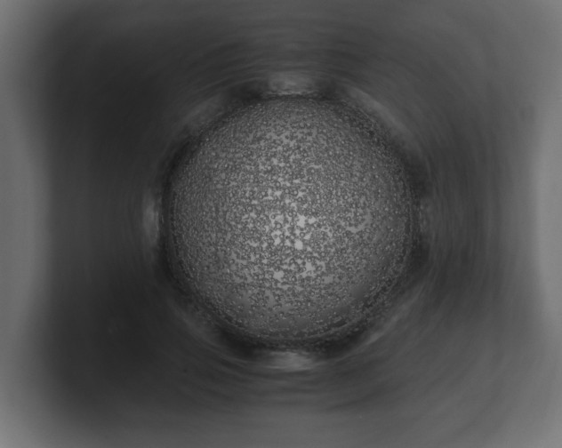 X0000100760741200806261604