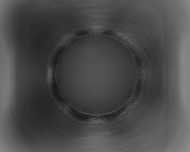 X0000100760742200806261604