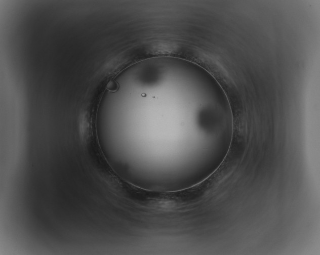 X0000100760743200806261604