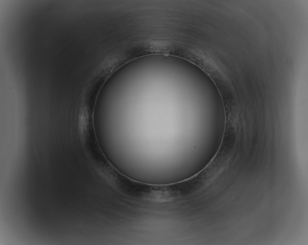 X0000100760744200806261604