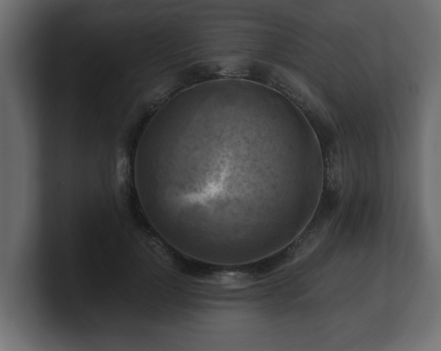 X0000100760748200806261604