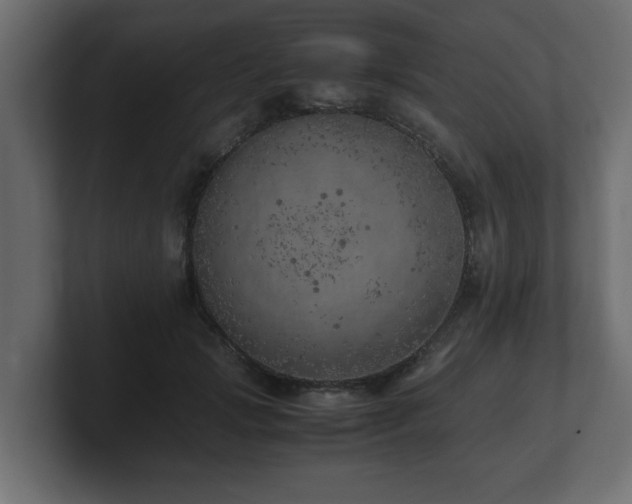 X0000100760749200806261604