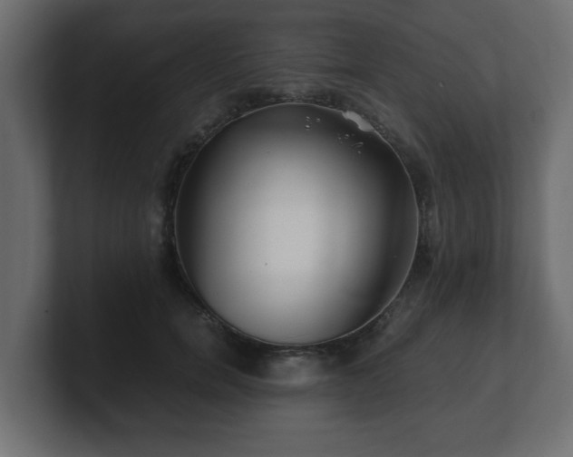 X0000100760750200806261604