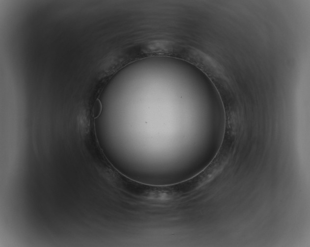 X0000100760751200806261604