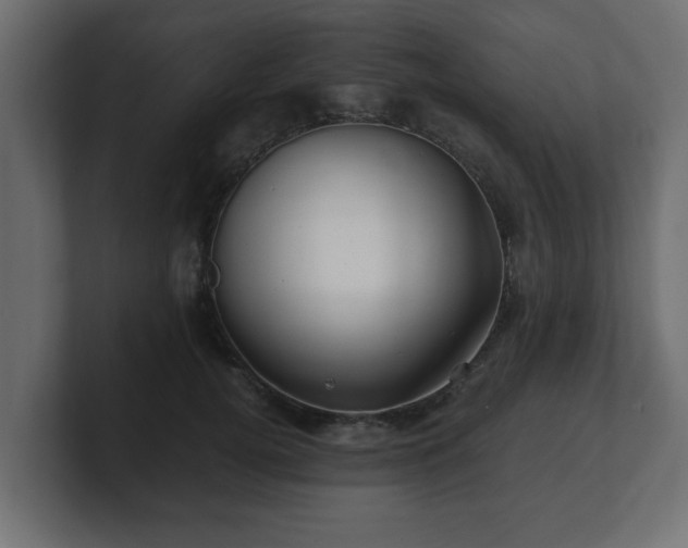 X0000100760752200806261604