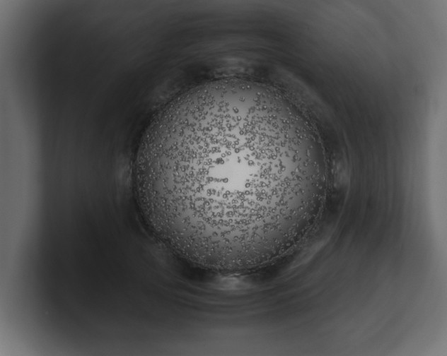 X0000100760753200806261604