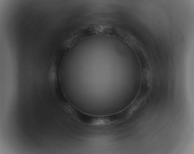 X0000100760754200806261604