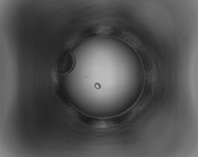 X0000100760755200806261604