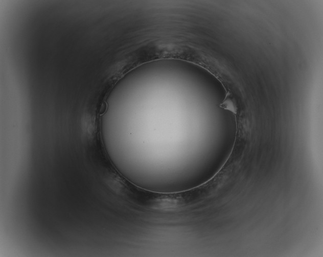 X0000100760756200806261604