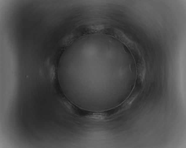 X0000100760758200806261604