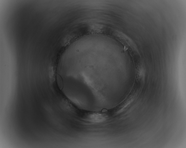 X0000100760759200806261604