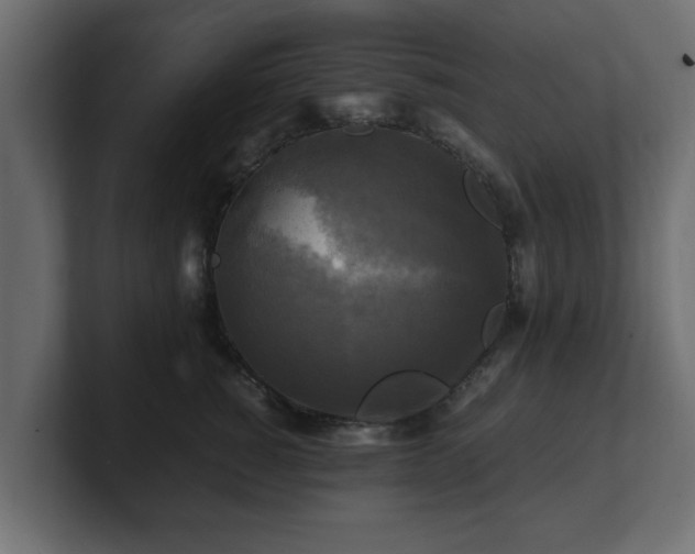 X0000100760760200806261604