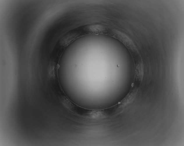 X0000100760762200806261604