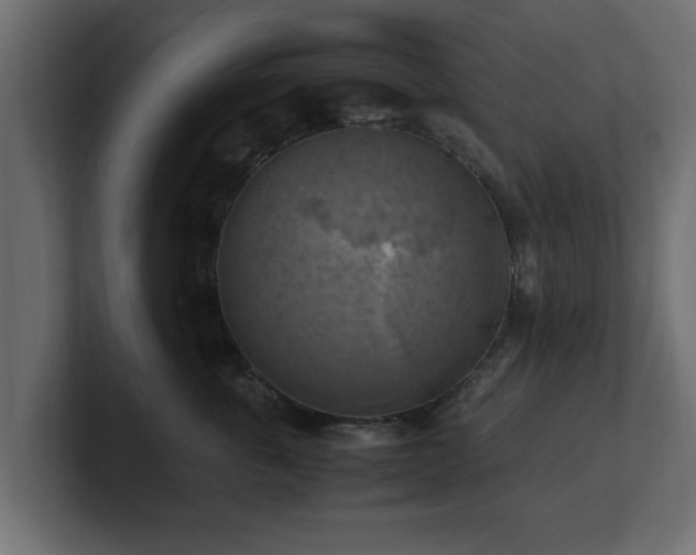 X0000100760763200806261604