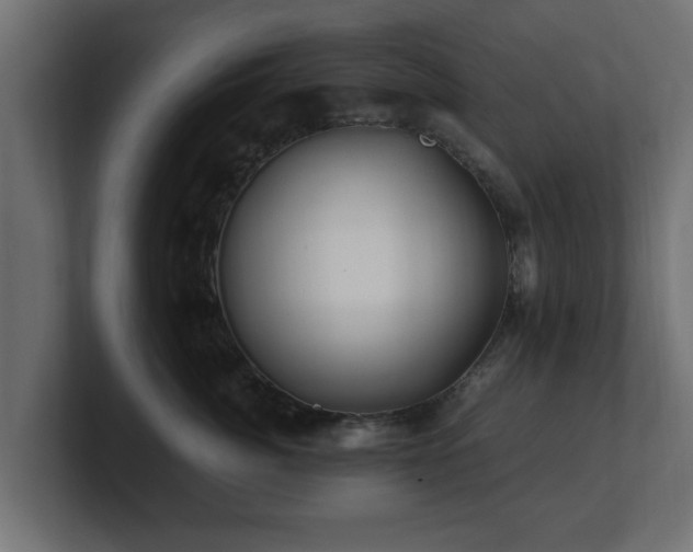 X0000100760764200806261604