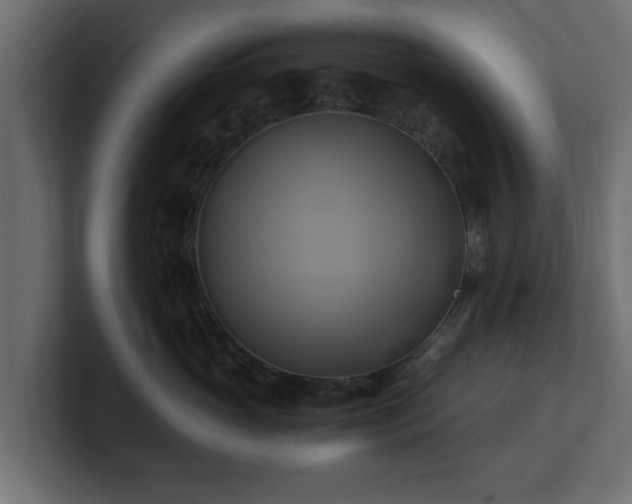 X0000100760765200806261604