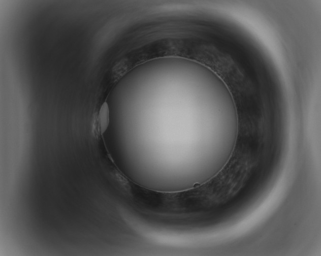 X0000100760766200806261604