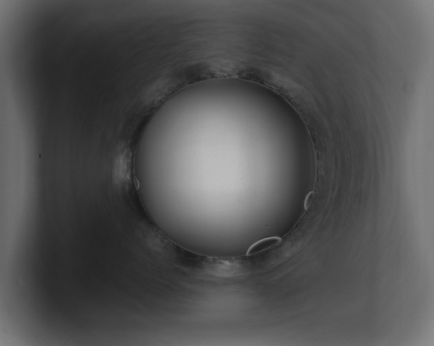 X0000100760768200806261605