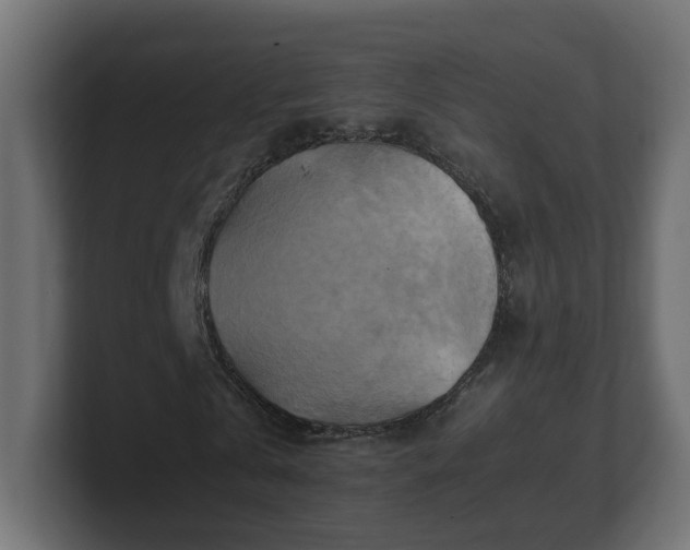 X0000100760769200806261604