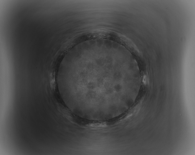 X0000100760771200806261604