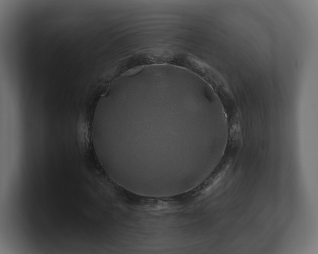 X0000100760772200806261604