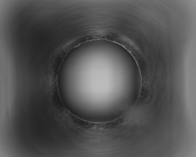 X0000100760773200806261604