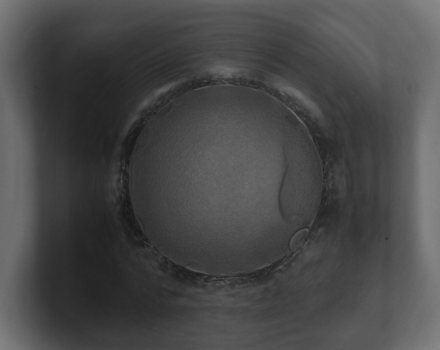 X0000100760776200806261604