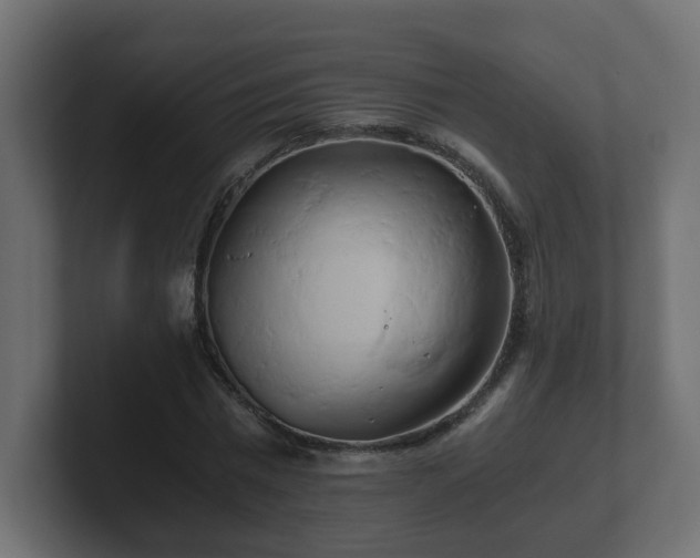 X0000100760777200806261604