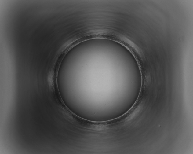 X0000100760778200806261604