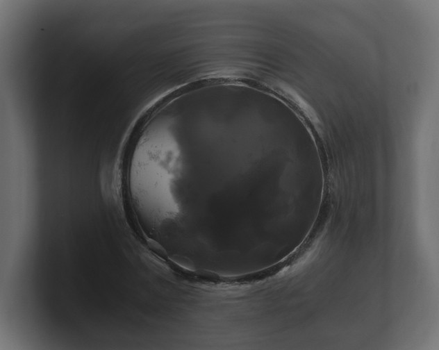 X0000100760779200806261604